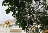 Cho thuê MBKD mặt phố Nguyễn Văn Lộc, DT 68m, 5tầng - Mt 4.5m - Giá 50 Triệu (ctl)